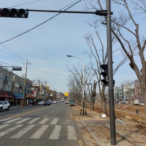 가로수 가지치기공사 (5).jpg